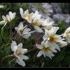 20050605_037